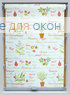 Стандарт  ОЛИВА ФОКУС 601