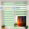 Компакт Зебра Виссон 121